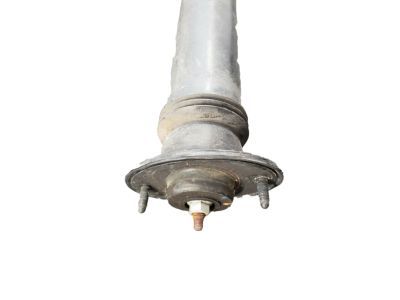 GM 25770612 Shock Absorber