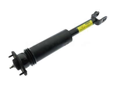GM 25770612 Shock Absorber