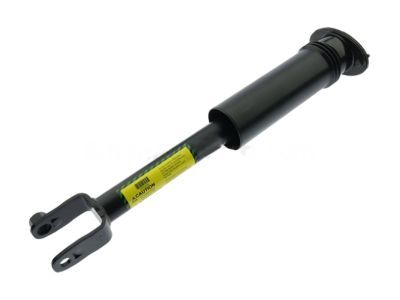 GM 25770612 Shock Absorber