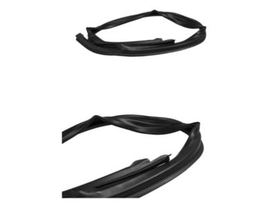 GM 96624068 Run Weatherstrip