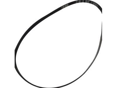 GM 55578811 Serpentine Belt