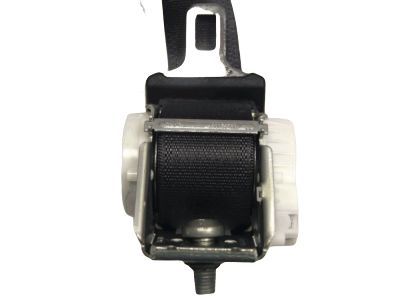 GM 19178895 Outer Belt Assembly