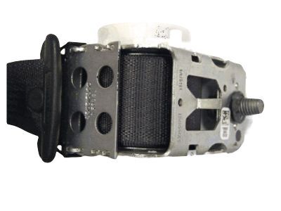 GM 19178895 Outer Belt Assembly