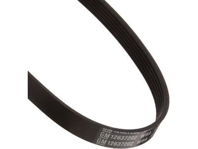 GM 12637202 Belt