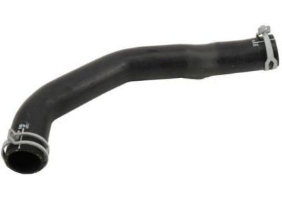 GM 15792832 Upper Hose