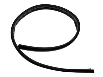 GM 15012833 Weatherstrip, Front Side Door Roof Drip