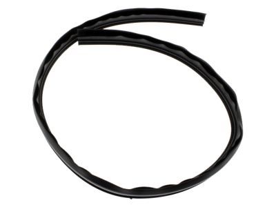 GM 15012833 Weatherstrip, Front Side Door Roof Drip