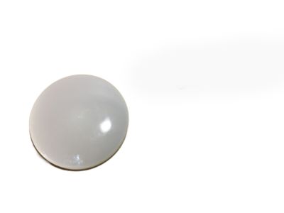 GM 10160922 Lens-Dome Lamp