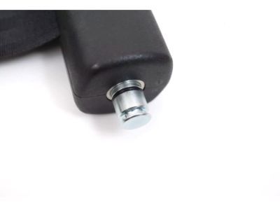 GM 22743384 Flexible Cargo Partition in Black with Sliders