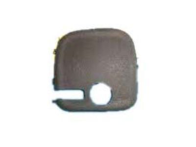 GM 25748786 Handle Bezel