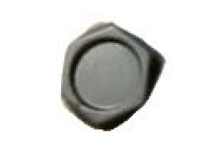 GM 10028614 Cover Cap