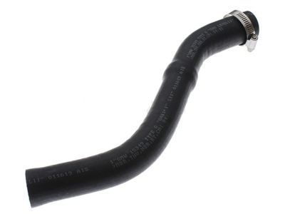 GM 22951228 Hose Asm-Fuel Tank Filler