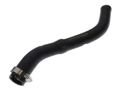 GM 22951228 Hose Asm-Fuel Tank Filler