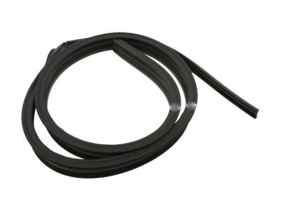 GM 15044908 Drip Weatherstrip