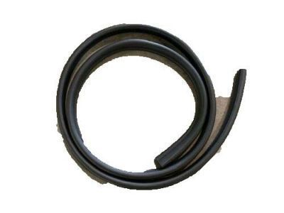 GM 89039906 Door Weatherstrip