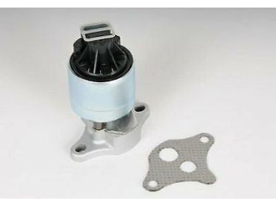 GM 21009422 Valve Kit, EGR