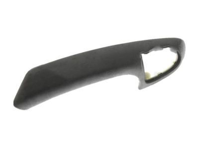 GM 15236110 Handle Asm-Front Side Door Pull *Ebony