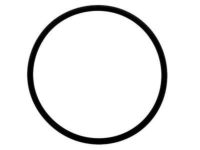 OEM Oldsmobile Aurora Seal-Fuel Sender (O Ring) - 25028682