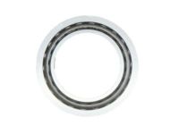 OEM 2003 Chevrolet Express 2500 Side Bearings - 26046759