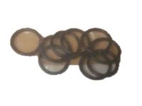 OEM GMC Gasket, A/C Evaporator Fitting - 52456069