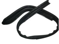 OEM Chevrolet Aveo Surround Weatherstrip - 95980733