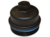OEM Buick Filter Cover - 55593190