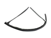 OEM Pontiac Run Channel - 15853016