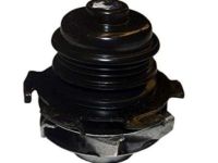 OEM Pontiac Water Pump Assembly - 19210509