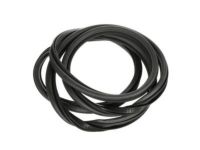 OEM 2004 GMC Safari Door Weatherstrip - 15161704