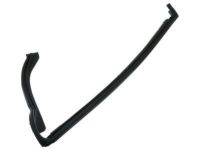OEM 2008 Chevrolet Trailblazer Rear Weatherstrip - 25775643