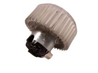 OEM Chevrolet Blower Motor - 95920148