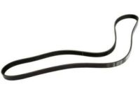 OEM Buick Commercial Chassis Belt - 19244956