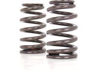 OEM 2009 Saturn Vue Valve Springs - 12600774