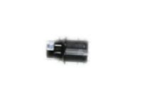 OEM GMC Sierra 2500 HD Wheel Nut Cap - 9597782