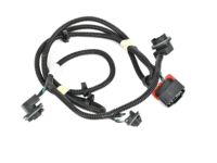 OEM Chevrolet Silverado 3500 HD Socket & Wire - 20840284