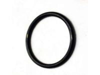 OEM Chevrolet Express 3500 Injector O-Ring - 94013303