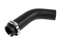 OEM 2011 Chevrolet Equinox Filler Hose - 25802833