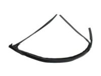 OEM Pontiac Run Channel - 15853015