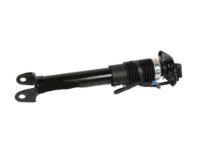 OEM 2004 Cadillac XLR Shock Absorber - 19302791