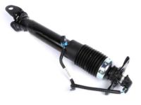 OEM Cadillac XLR Rear Shock Absorber Kit - 19302770