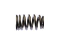 OEM Pontiac Valve Springs - 12706568