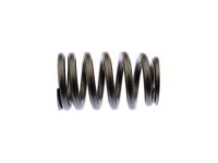 OEM 2010 Cadillac CTS Valve Springs - 12706568