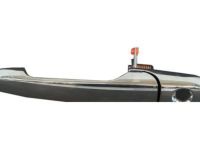 OEM 2006 Buick LaCrosse Handle, Outside - 25865676