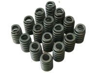 OEM Valve Springs - 12589774