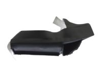 OEM Chevrolet Express 2500 Door Weatherstrip - 23345383