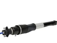 OEM 2009 Cadillac DTS Shock Absorber - 19302768