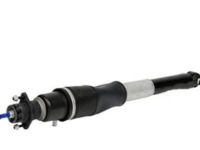 OEM 2009 Buick Lucerne Shock Absorber - 19302768