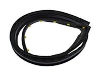 OEM 2012 GMC Sierra 1500 Drip Weatherstrip - 20816088