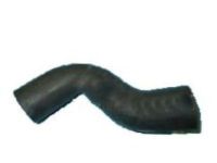 OEM Chevrolet Corvette Radiator Inlet Hose (Upper) - 10258276