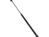 OEM 2001 Chevrolet Suburban 2500 Support Cylinder - 15766376